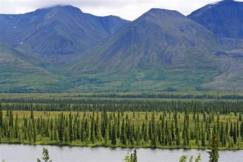 Tundra of Alaska stock image. Image of scenic, landscape - 35500025