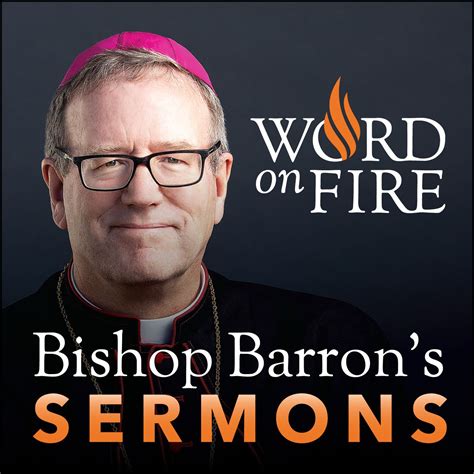 Bishop Barron’s Sunday Sermons - Catholic Preaching and Homilies | Bishop Robert Barron