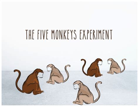 The Five Monkeys Experiment