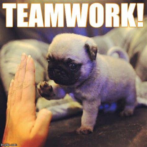 Teamwork Funny Motivational Memes For Work : Teamwork makes the dream work, teamwork, quickmeme ...