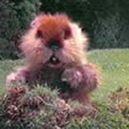 Caddyshack Gopher Quotes. QuotesGram