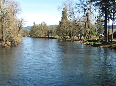 EWEB canal, Camp Creek area.