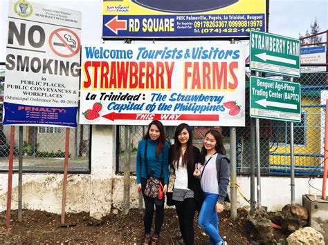 Strawberry Farm Attraction Baguio City Tourist Spots