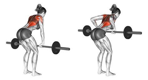 6 Best Types of Barbell Row Variations (with Pictures!) - Inspire US