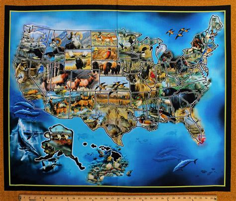 36" X 44" Panel United States of America Wildlife USA Country Map Animals States Geography Sew N ...