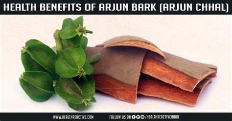 Health benefits of Arjun Bark (Arjun chhal) :: Health Reactive Body Revival