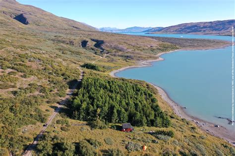 Greenland Trees | Climate awareness through planting trees