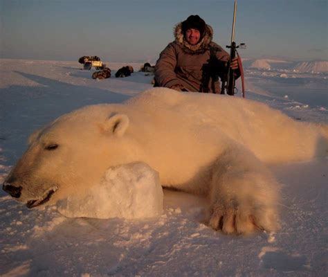 Canadian Arctic Polar Bear Hunt - Ameri-Cana Expeditions