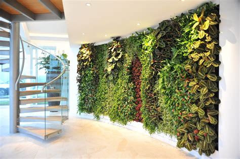 Office Green Walls | Living Walls & Artifical Walls for Offices