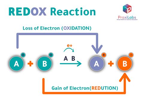 Oxidation and Reduction Reactions with examples - praxilabs