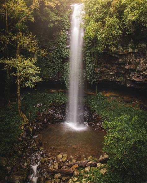 All of Dorrigo's Waterfalls uncovered — Walk My World