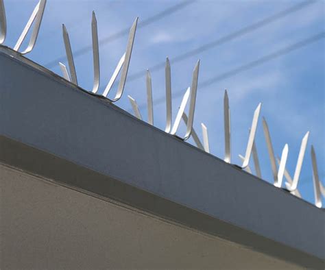 Birdguard Stainless Steel Bird Spikes for Do It Yourselfers