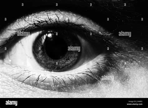 Black and white Male eye macro. Wide open, surprised male look Stock Photo - Alamy