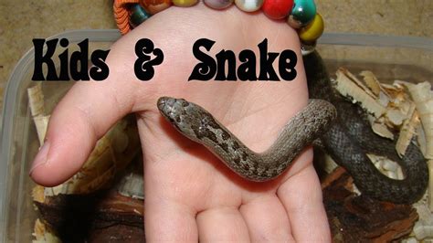 A friendly Snake with Children. - YouTube