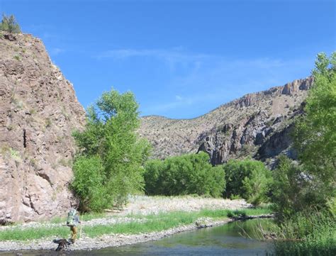 Protect Gila Wilderness - New Mexico Wilderness Alliance