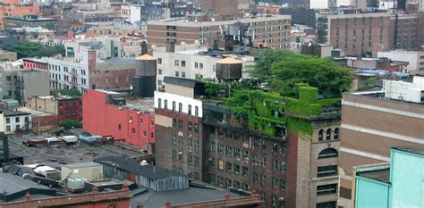 Why ‘green cities’ need to become a deeply lived experience