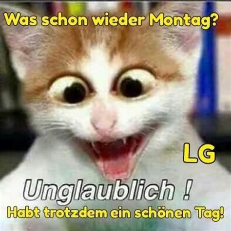 Montag Sprüche Lustig - Lustige Sprüche