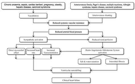 High output heart failure: A review of clinical status - epidemiology ...