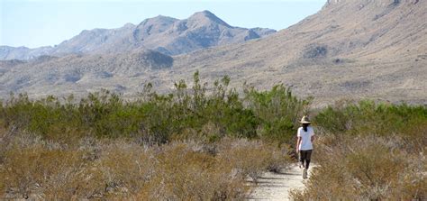 Big Bend National Park hiking tour in Texas | Mountain Hiking Holidays