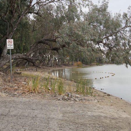 Goondiwindi Natural Heritage & Water Park: UPDATED 2021 All You Need to Know Before You Go (with ...