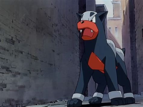 Top 10 Dog Of Pokemon Series