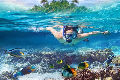 Best places to snorkel in the Caribbean | Catalonia Hotels & Resorts Blog