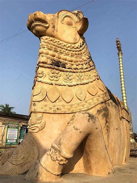 44 Gangaikonda Cholapuram Photos, Pictures And Background Images For ...