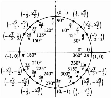 Unit Circle Practice Worksheet Elegant Resources | Blank unit circle, Practices worksheets ...