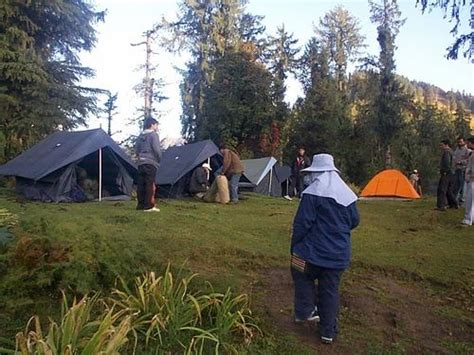 Camping at Tirthan Valley Package Tours in Banjar, Kullu, Hotel Trout Valley Home | ID: 7858177962