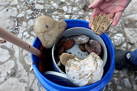 Day Trips: Ladonia Fossil Park: North Texas riverbed a treasure chest of ancient bones - Columns ...