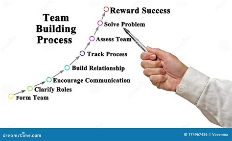 Team Building Process stock photo. Image of assess, encourage - 174967436