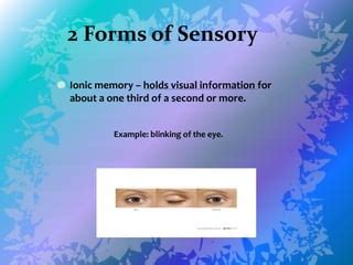 Sensory memory | PPT