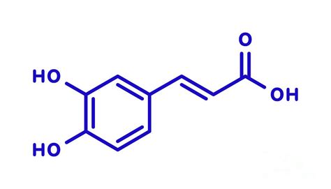 Caffeic Acid Molecule Photograph by Molekuul/science Photo Library - Pixels