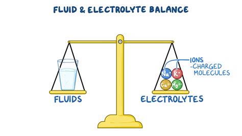 Fluid and Electrolyte Balance - Osmosis Video Library