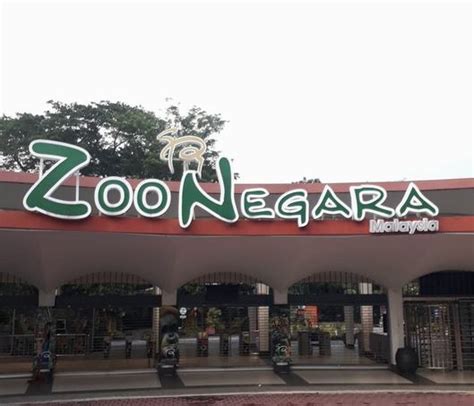 melaka zoo negara entrance fee - Michelle Lee