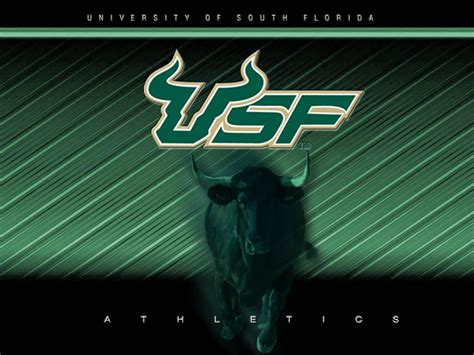 USF Bulls Wallpaper | Free Wallpaper,usf,xp,bmw,vista,toolbar