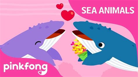 Singer Whale | Sea Animals Song | Learn Animals | Pinkfong Songs for Chi... | Kids songs, Sea ...