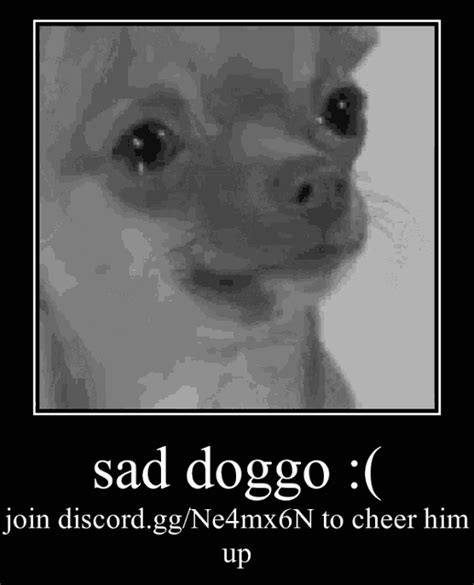 Sad Sad Dog GIF - Sad Sad Dog Sad Eyes - Discover & Share GIFs