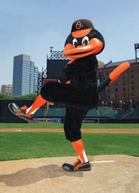 The Oriole Mascot! | Baltimore orioles baseball, Baltimore orioles, Orioles baseball