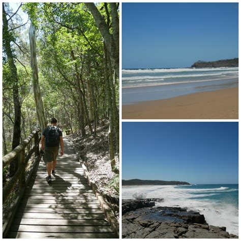 noosa heads national park