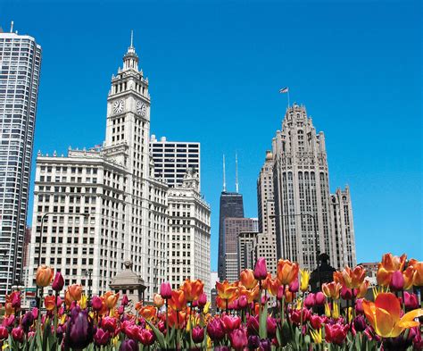 12 Can't Miss Buildings in Downtown Chicago to Explore | Choose Chicago