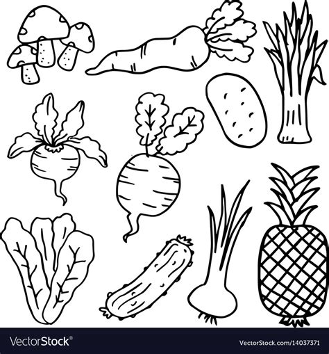 Hand draw doodle vegetable and fruit Royalty Free Vector