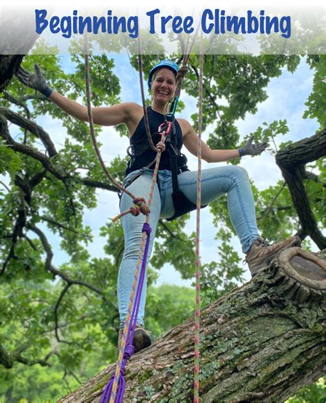 Learn to climb tall & mature trees - TREETOP EXPLORER