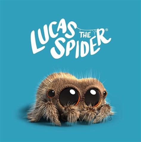 Lucas The Spider