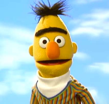 Bert - Muppet Wiki