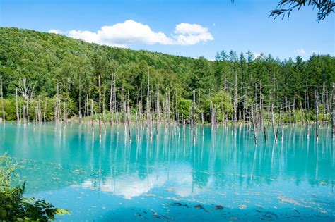 Blue Pond with Clear Blue Sky in Japan Hokkaido Stock Image - Image of hokkaido, blue: 157026539