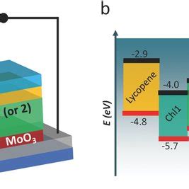 A biohybrid solar cell (BPV) with architecture inspired from OPVs. a ...