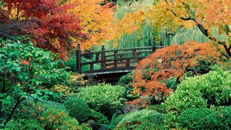 Japanese Flower Garden Wallpapers - Top Free Japanese Flower Garden ...