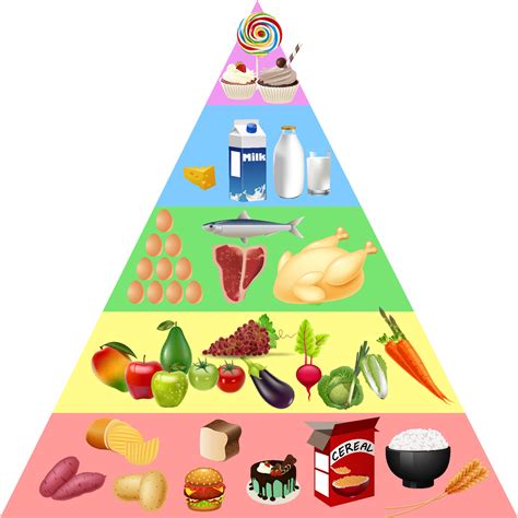 Discover more than 140 healthy food pyramid drawing best - seven.edu.vn