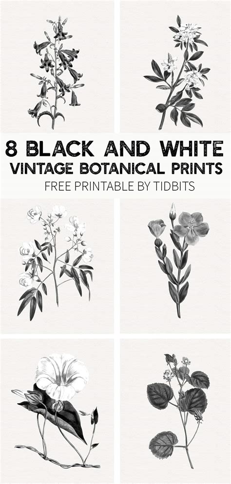 Free Farmhouse Botanical Printables - Free Templates Printable